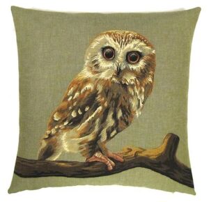 forest owl