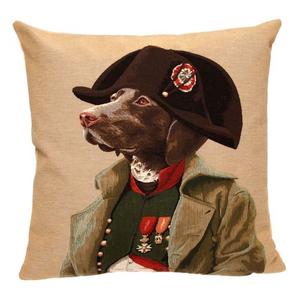 Napoleon Dog