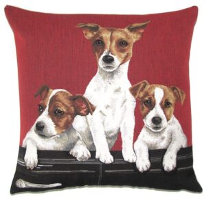jack russells in car
