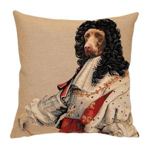 Louis XIV