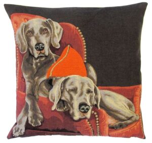 sofa weimaraners