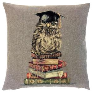 owl with books