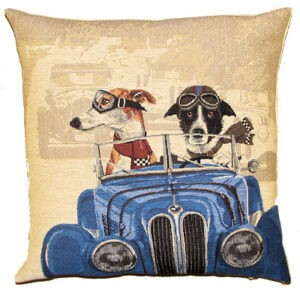 dogs in blue car