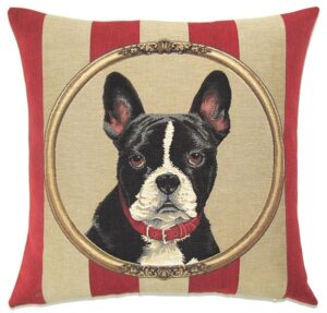 wallpaper boston terrier