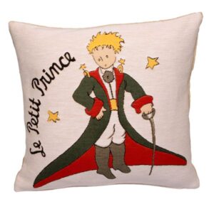 Petit Prince - Costume