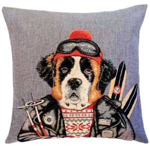 Bernese dog & skis