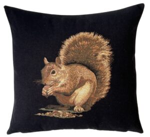 squirrel black